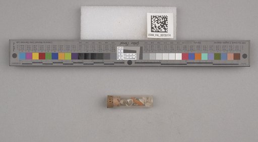 NSF ADBC EPICC TCN