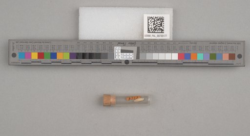 NSF ADBC EPICC TCN