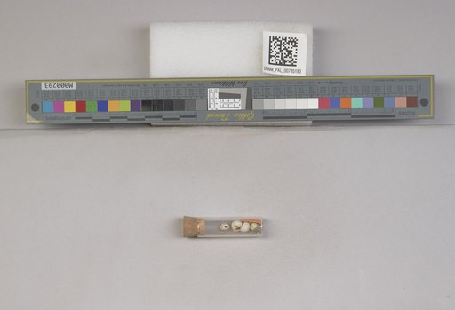NSF ADBC EPICC TCN