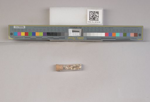NSF ADBC EPICC TCN