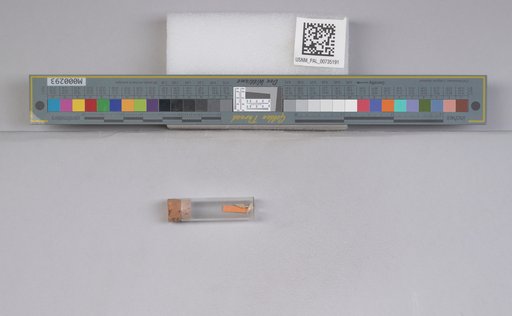 NSF ADBC EPICC TCN