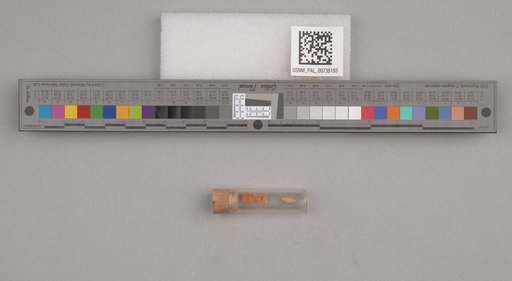 NSF ADBC EPICC TCN