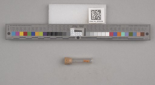 NSF ADBC EPICC TCN
