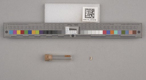 NSF ADBC EPICC TCN
