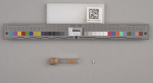 NSF ADBC EPICC TCN
