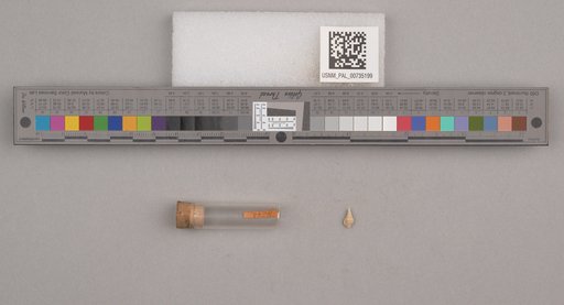 NSF ADBC EPICC TCN