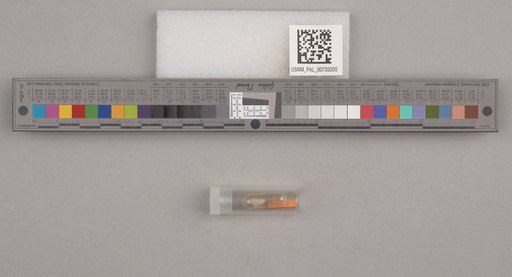 NSF ADBC EPICC TCN