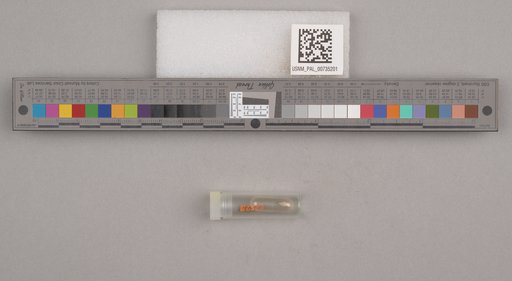 NSF ADBC EPICC TCN