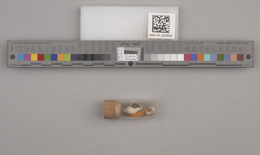 NSF ADBC EPICC TCN