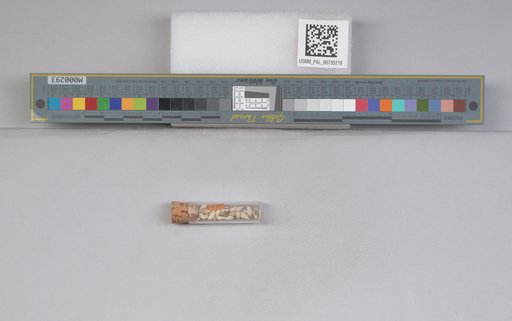 NSF ADBC EPICC TCN