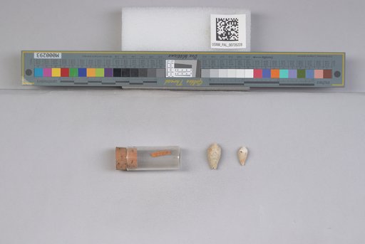 NSF ADBC EPICC TCN