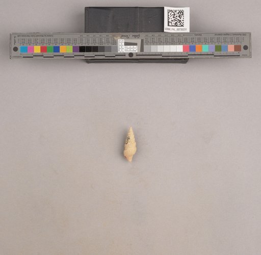 NSF ADBC EPICC TCN