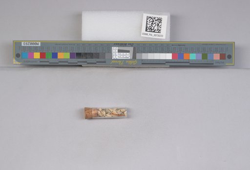 NSF ADBC EPICC TCN