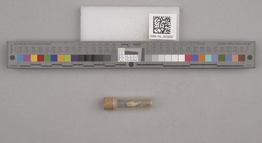 NSF ADBC EPICC TCN