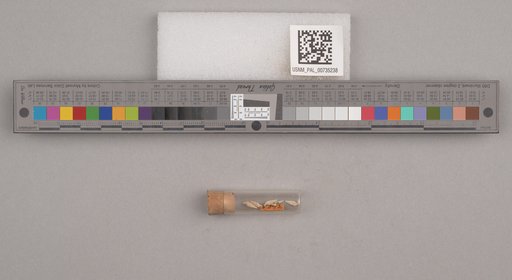 NSF ADBC EPICC TCN