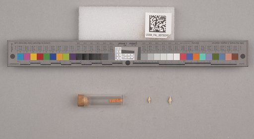 NSF ADBC EPICC TCN