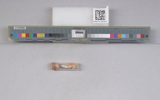 NSF ADBC EPICC TCN