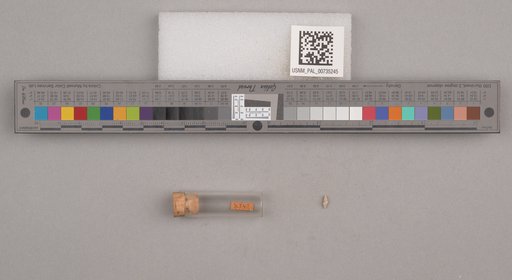 NSF ADBC EPICC TCN