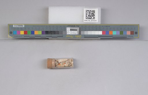NSF ADBC EPICC TCN