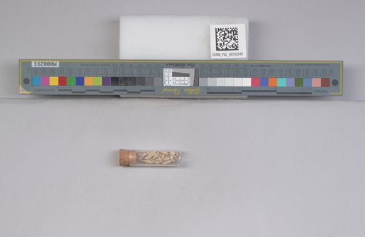 NSF ADBC EPICC TCN