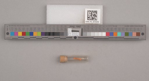 NSF ADBC EPICC TCN