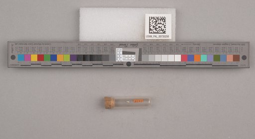 NSF ADBC EPICC TCN