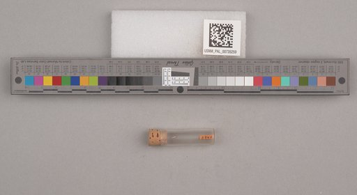 NSF ADBC EPICC TCN