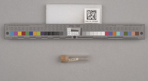 NSF ADBC EPICC TCN