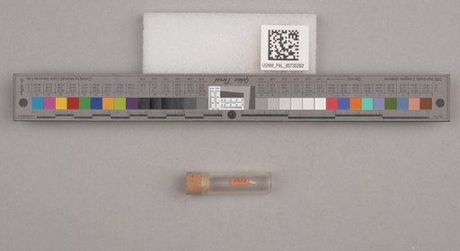 NSF ADBC EPICC TCN