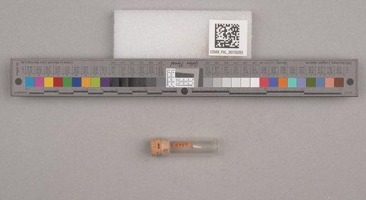 NSF ADBC EPICC TCN