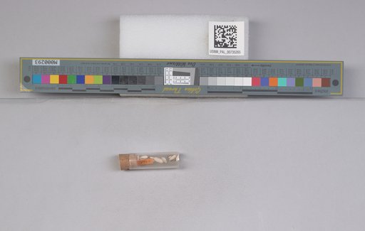 NSF ADBC EPICC TCN