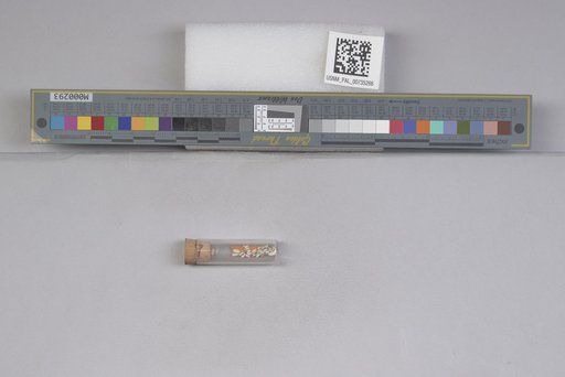 NSF ADBC EPICC TCN