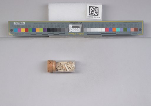 NSF ADBC EPICC TCN