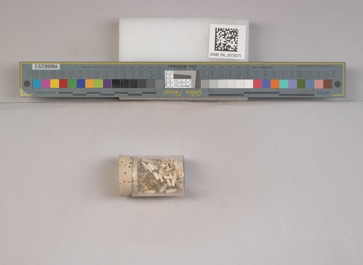 NSF ADBC EPICC TCN