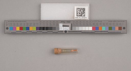 NSF ADBC EPICC TCN