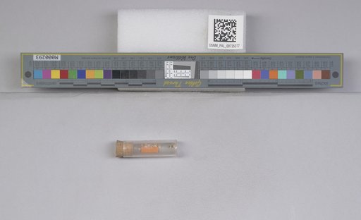 NSF ADBC EPICC TCN