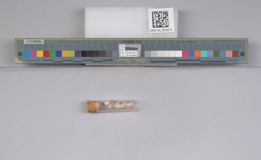 NSF ADBC EPICC TCN