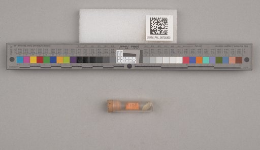 NSF ADBC EPICC TCN