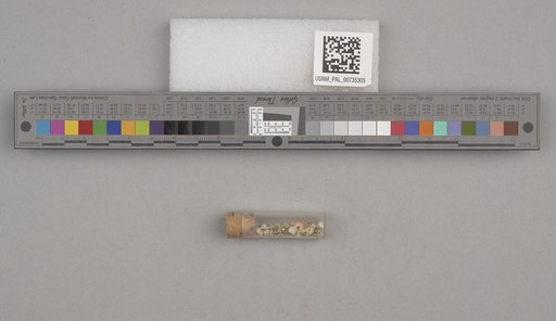 NSF ADBC EPICC TCN