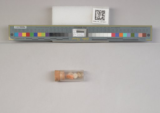 NSF ADBC EPICC TCN