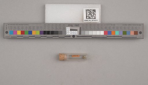 NSF ADBC EPICC TCN