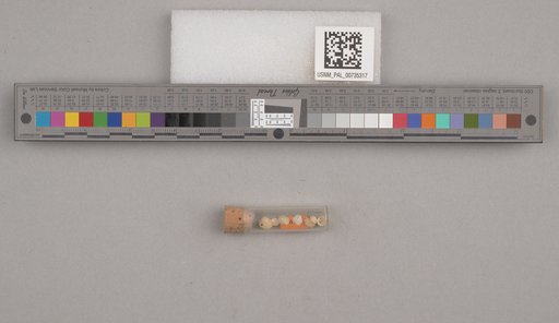 NSF ADBC EPICC TCN