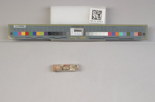 NSF ADBC EPICC TCN