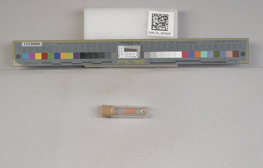 NSF ADBC EPICC TCN