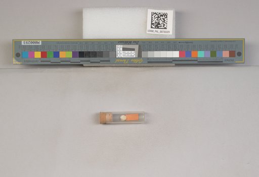 NSF ADBC EPICC TCN