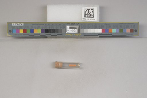 NSF ADBC EPICC TCN