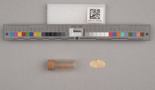 NSF ADBC EPICC TCN