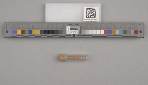 NSF ADBC EPICC TCN