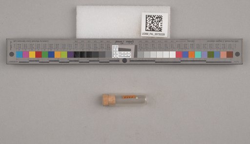 NSF ADBC EPICC TCN
