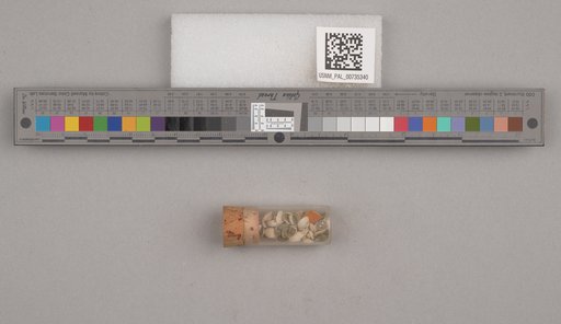 NSF ADBC EPICC TCN